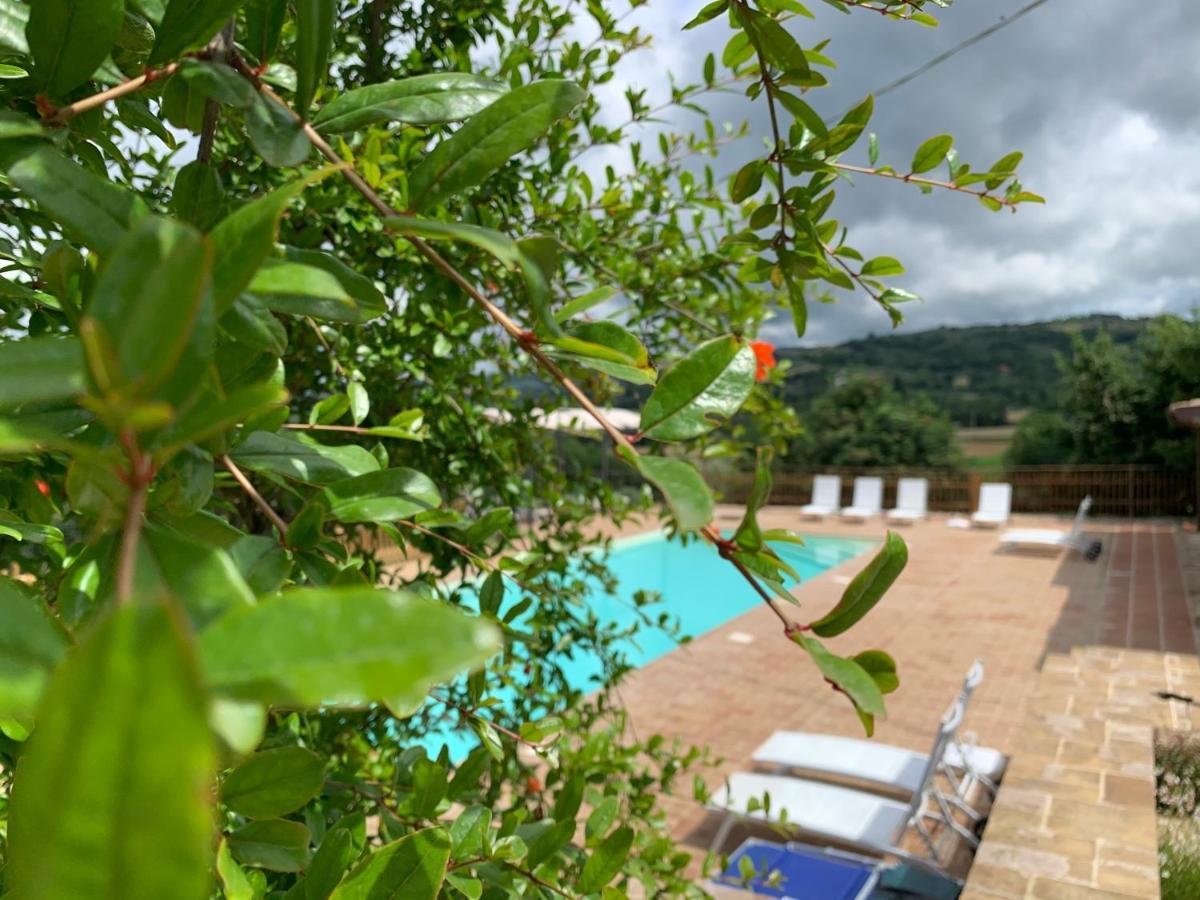 Agriturismo La Palazzetta Di อัสซิซี ภายนอก รูปภาพ