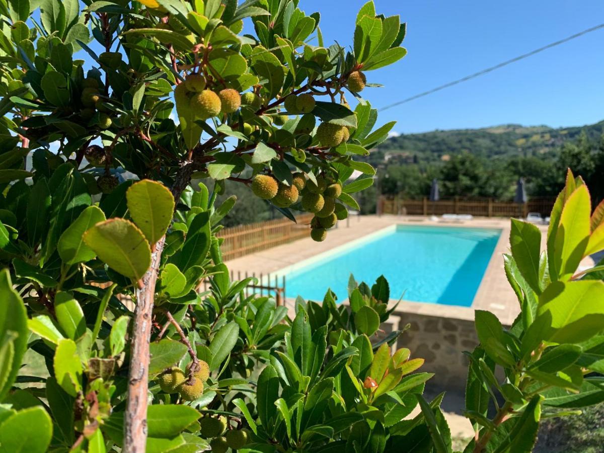 Agriturismo La Palazzetta Di อัสซิซี ภายนอก รูปภาพ