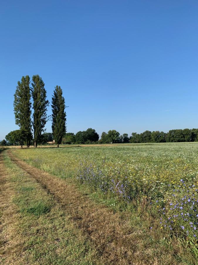 Agriturismo La Palazzetta Di อัสซิซี ภายนอก รูปภาพ