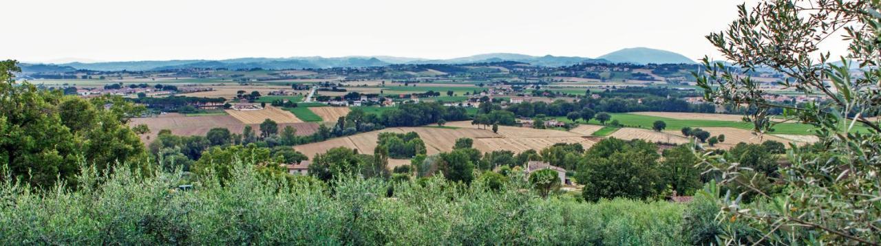 Agriturismo La Palazzetta Di อัสซิซี ภายนอก รูปภาพ
